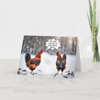 Galinhas No Humor De Aniversário Da Neve