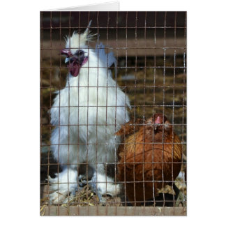Cartão Galinhas ricos