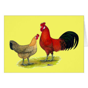 Cartão Galinhas sicilianos do botão de ouro