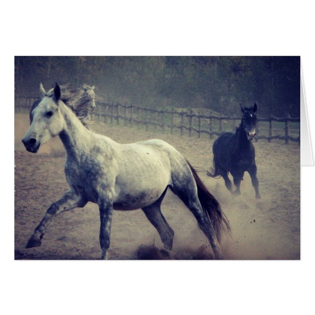 Cartão Gallop (Frente Horizontal)