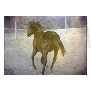 Cartão Gallop Afway