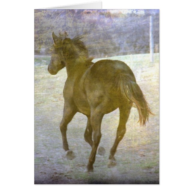 Cartão Gallop Afway (Frente)