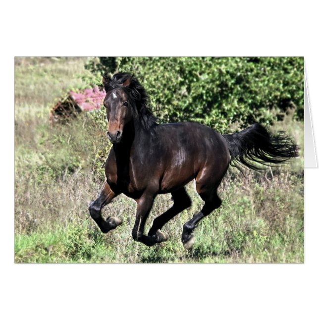 Cartão Galloping Chestnut Horse (Frente Horizontal)
