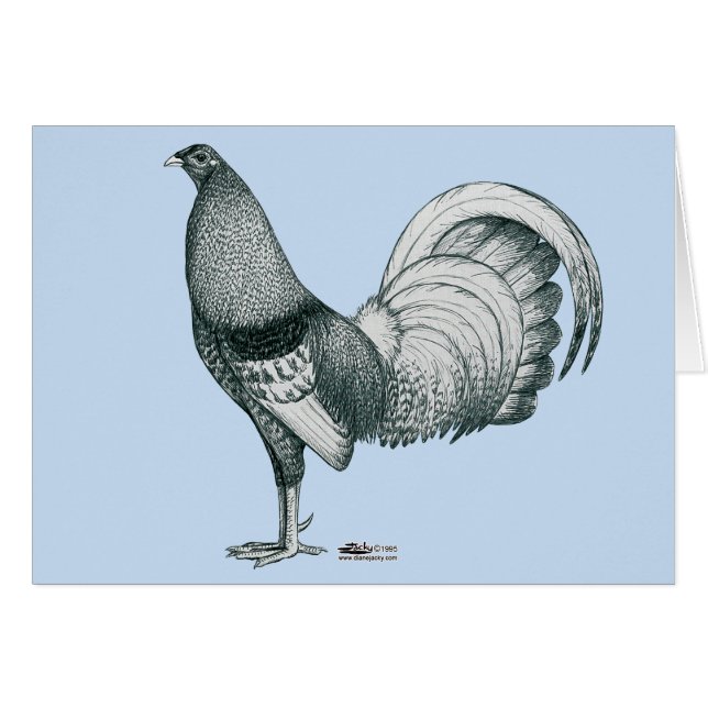 Cartão Galo de Briga Crele ou Dom (Frente horizontal)