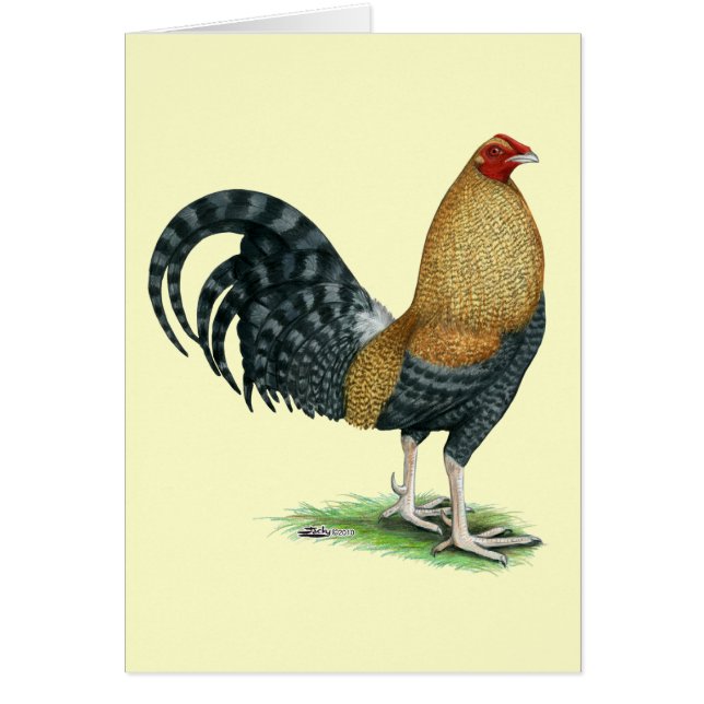 Cartão Galo de Briga Dom ou Crele (Frente)