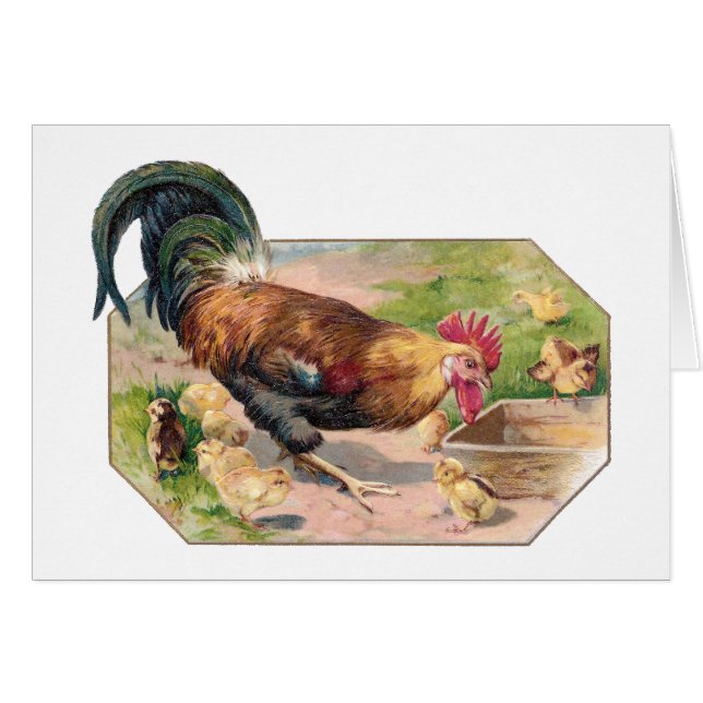 Cartão Galo e pintinhos (Frente Horizontal)