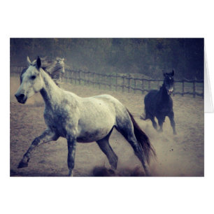 Cartão Galope