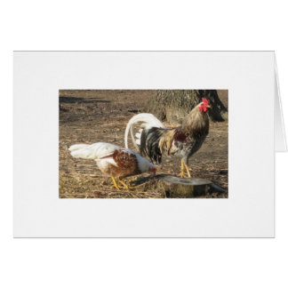 Cartão Gamecock azul da Longo-Cauda da entulho de Alabama