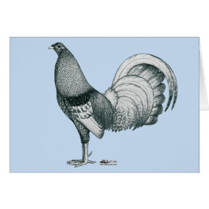 Cartão Gamecock Crele ou Dom