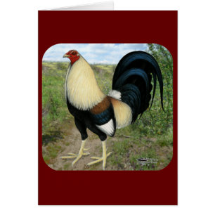 Cartão Gamecock da estrada secundária