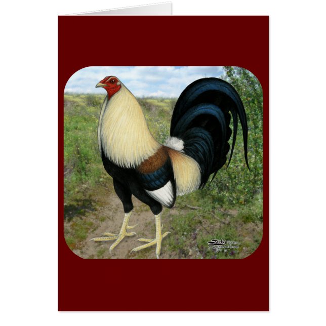 Cartão Gamecock da estrada secundária (Frente)