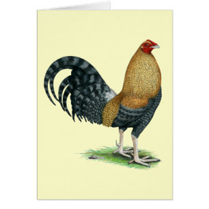 Cartão Gamecock: Dom ou Crele