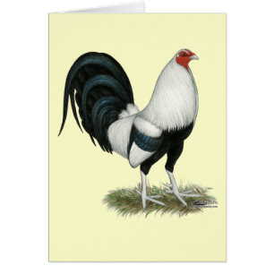 Cartão Gamecock prateado