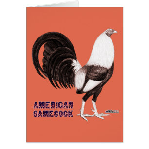 Cartão Gamecock Sepia
