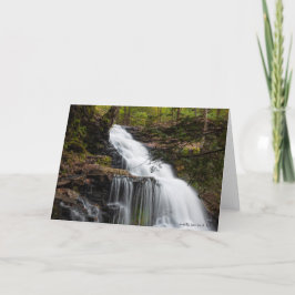 Cartão Ganoga Falls - Outono de 2018