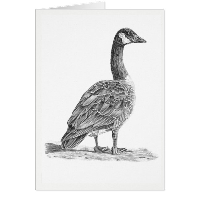 Cartão Ganso canadense (Frente)