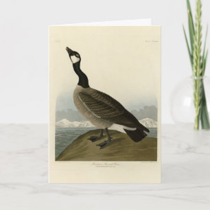 Cartão Gansos de Cackling das Aves da América de Audubon