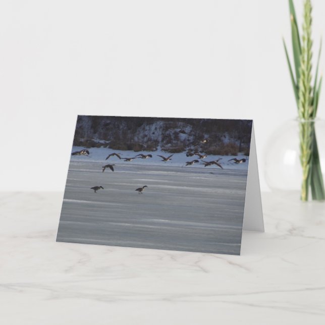 Cartão Gansos de Voo Baixo (Frente)