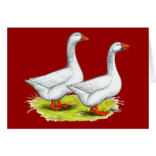 Cartão Gansos: Embden Pair