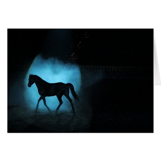 Cartão Garanhão árabe preto (Frente Horizontal)