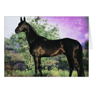 Cartão Garanhão de Akhal-teke