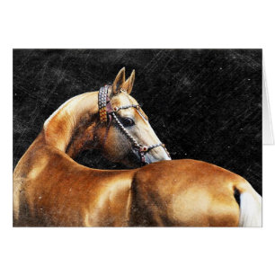 Cartão Garanhão de Akhal-teke do Palomino