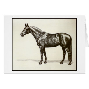 Cartão Garanhão de Trakehner