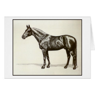 Cartão Garanhão de Trakehner