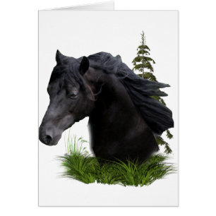 Cartão garanhão.final