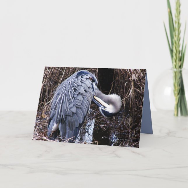 Cartão Garça-real da preparação (Frente)