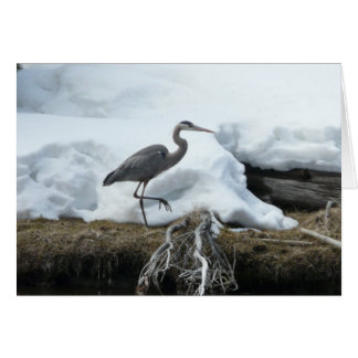 Cartão Garça-real de grande azul