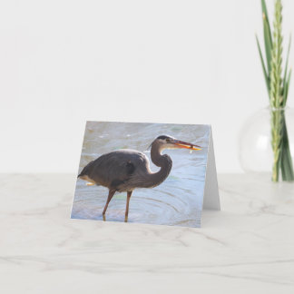Cartão Garça-real de grande azul Notecard - vazio para
