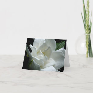 Cartão Gardenia