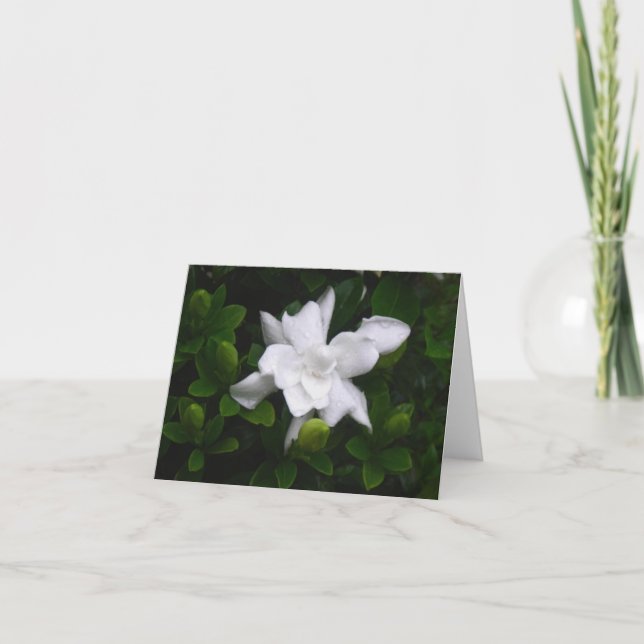 Cartão Gardenias de brotamento Notecard floral (Frente)