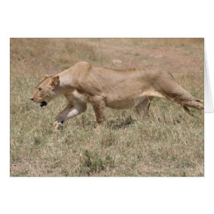 Cartão garfo de leão