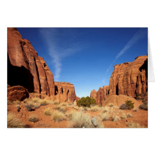 Cartão Garganta vermelha da rocha