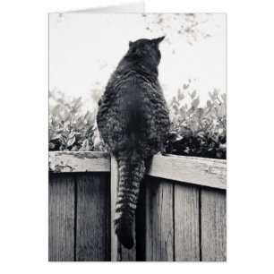 Cartão Gárgula viva