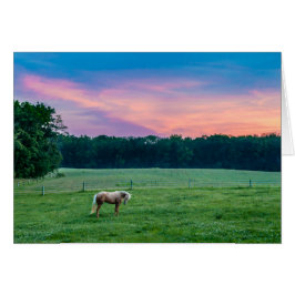 Cartão Garmin com por do sol