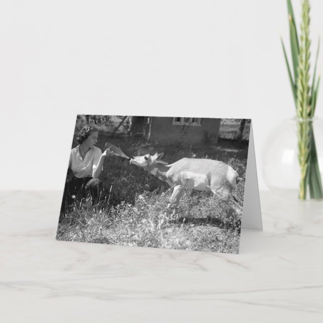 Cartão Garrafa da mulher - alimentando um antílope (Frente)