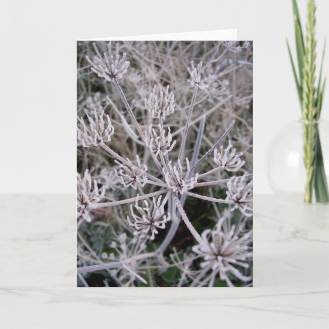 Cartão garras dos invernos (Frente)