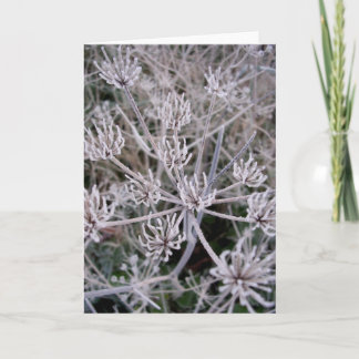 Cartão garras dos invernos