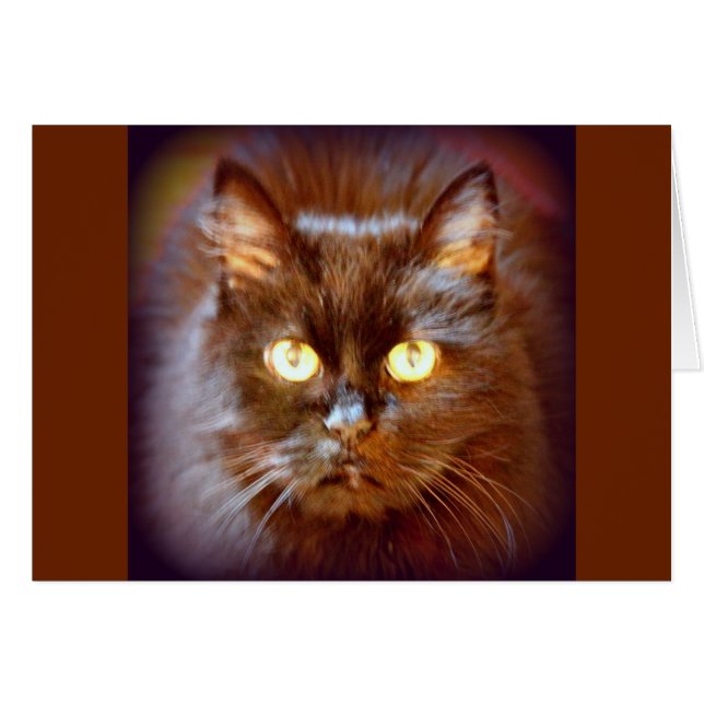 Cartão gatinho (Frente Horizontal)