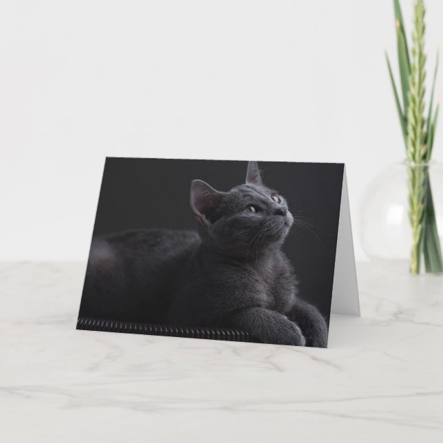 Cartão Gatinho (Frente)