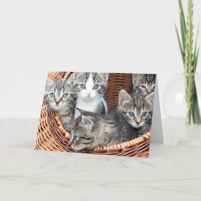 Cartão Gatinho (Frente)