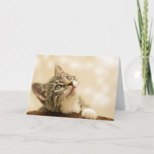 Cartão Gatinho Bonito com Pata Estendida