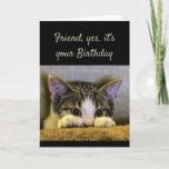 Cartão Gatinho Bonito De Aniversário Bonito<br><div class="desc">Amigo,  são seus Amigos de Aniversário tão gentis e carinosos quanto duros de encontrar.  Estou tão feliz que nos encontramos.    Tenha um feliz aniversário. Um gatinho    bonito olhando para fora.</div>