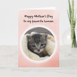Cartão Gatinho Bonito, você é meu Dia de as mães Humano F