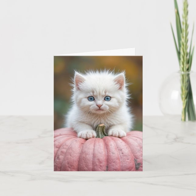 Cartão Gatinho Branco Na Pumpkin Rosa (Frente)