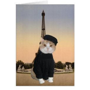 Cartão Gatinho Bubba em Paris
