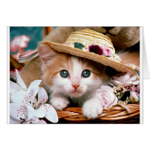 Cartão Gatinho com chapéu de palha.